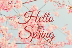 GlamItSA's tweet photo. It's Spring Day!

New month, new season, new possibilities. 
Happy Spring to all of our strong and beautiful followers. 

#happyspring #springtime https://t.co/4lEzFc3xPd