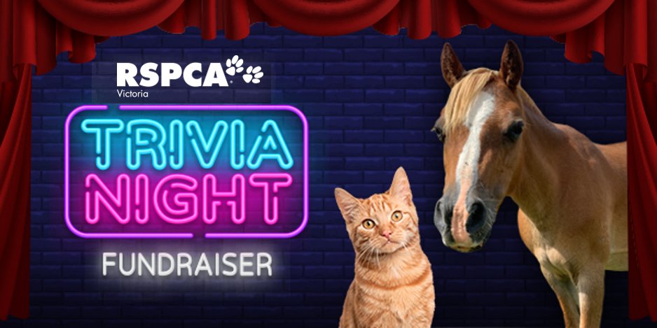 Rspca Victoria Rspca Vic Twitter