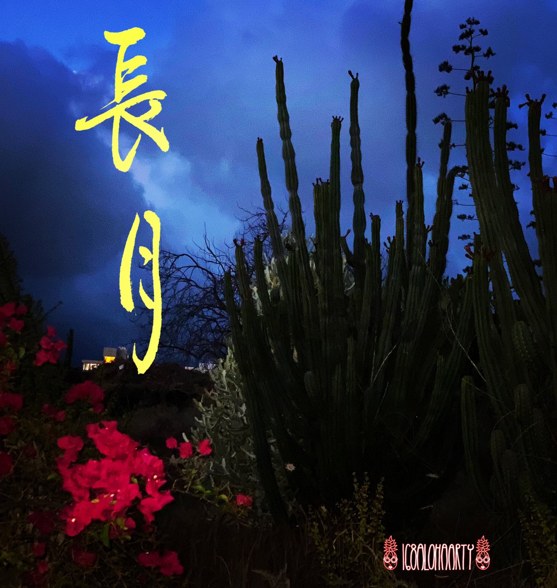 168alohaarty 168alohaarty Twitter