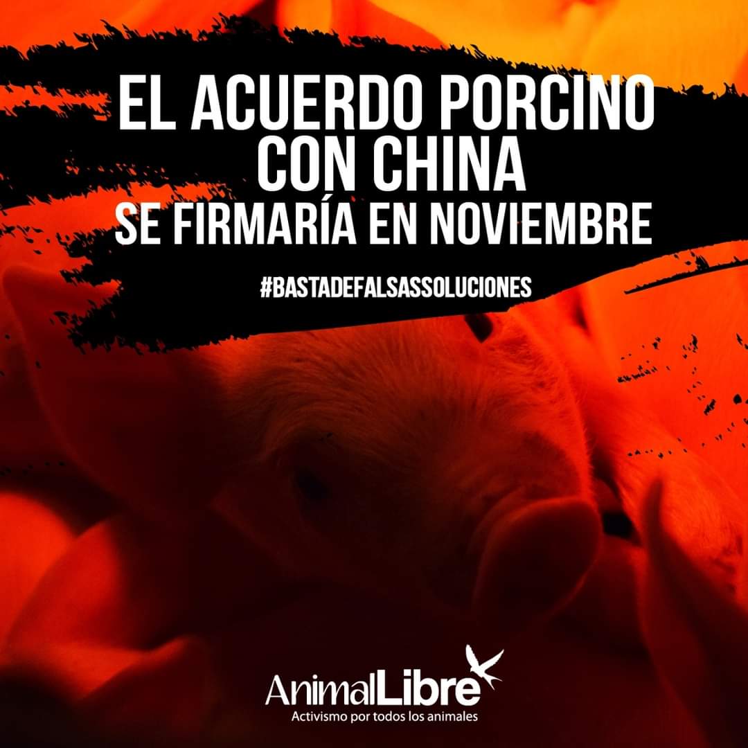 lavozdelosotros's tweet photo. No nos confiemos, porque hay muchos intereses putrefactos atras de esto! https://t.co/ZgoLki4NXi https://t.co/SNMLfkpeOV