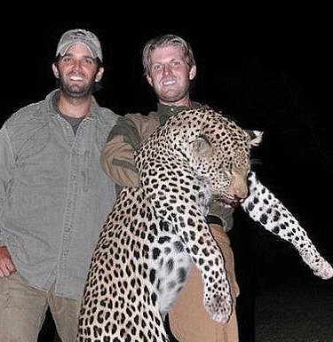 <a href="/realDonaldTrump/">Donald J. Trump</a> <a href="/DonaldJTrumpJr/">Donald Trump Jr.</a> <a href="/seanhannity/">Sean Hannity 🇺🇸</a> Great White Hunters kill majestic endangered animal. Very brave schmucks.