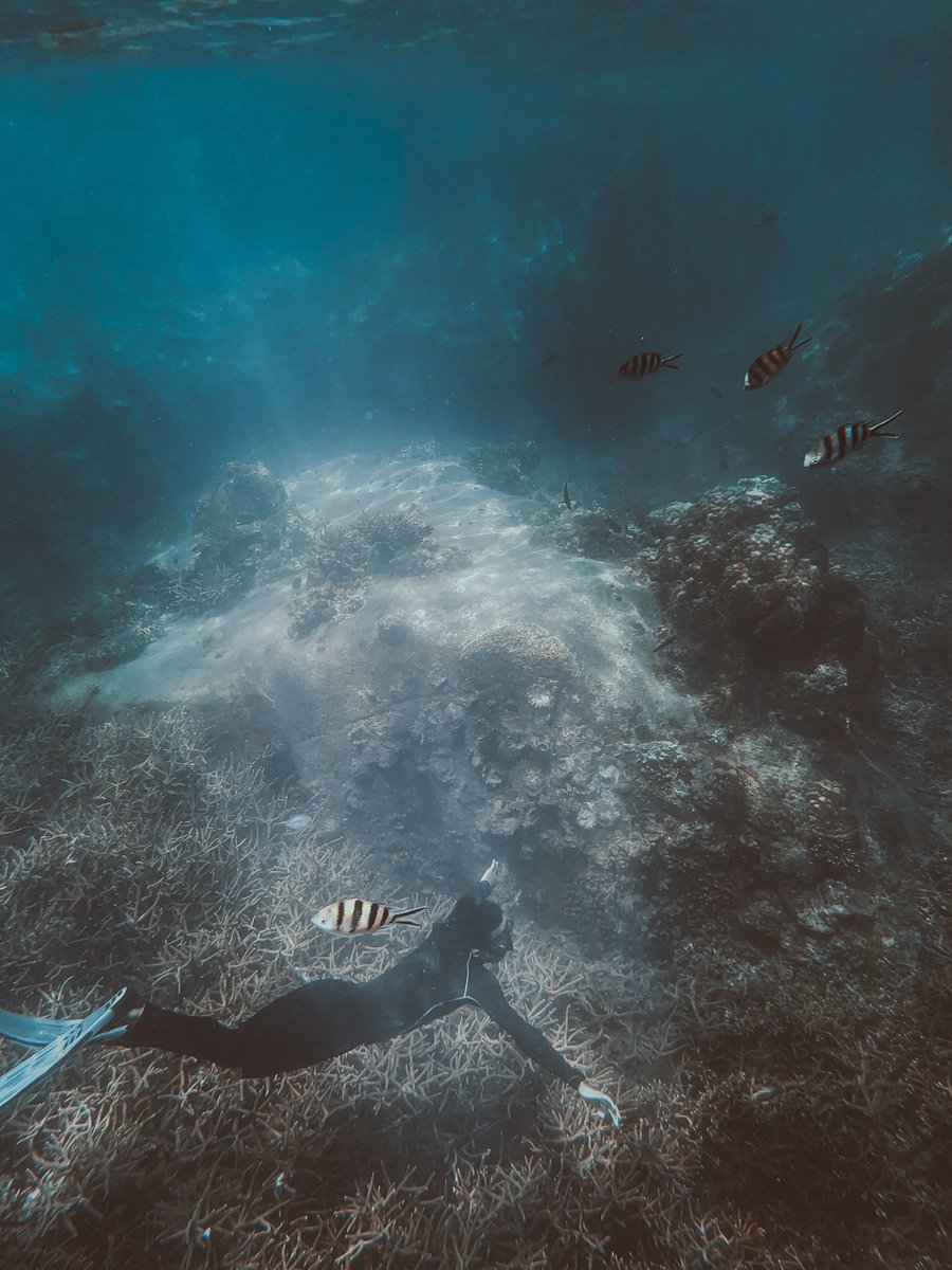 ลองเอา iPhone xs ลงไปถ่ายใต้ทะเลมา ผลคือถ่ายได้ แต่ใช้ไม่ได้ไป 3 วันจอจะเอ๋อๆกดเองบ้างกดไม่ติดบ้าง ก็พยายามทำไงก็ได้ให้หายชื้นใช้แอพ Sonic ไล่น้ำออกแล้วแช่ข้าวสารทิ้งไว้ซะวันสองวันช่วยได้จริงๆ บางคนโชคดีหน่อยแค่เอาขึ้นมาล้างน้ำสะอาดแล้วทำให้แห้งก็ใช้ได้ปกติเลย