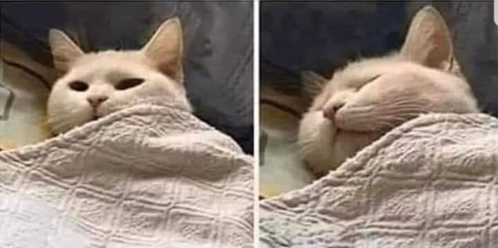 #Temblor
Esta Temblando, pero es Chile.