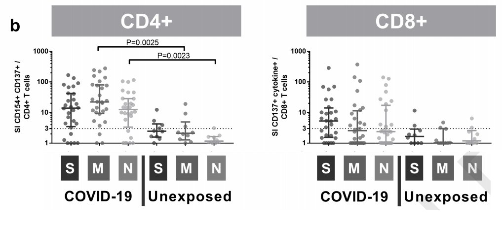 another t-cell paper: if you expose healthy people's t cells to peptides derived from three SARS2 proteins, some of them kind of respond...maybe...but not much and not in many patients
