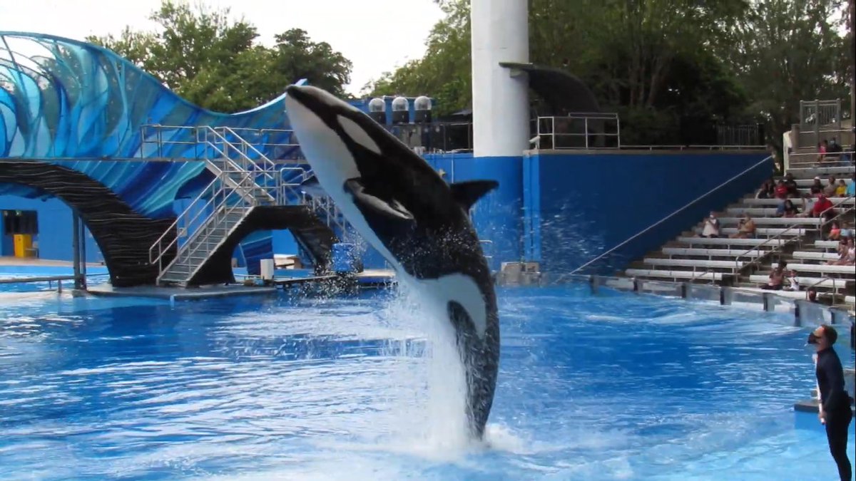 SeaofPower's tweet image. So when are we gonna talk about how massive Malia is? Remember how small she was