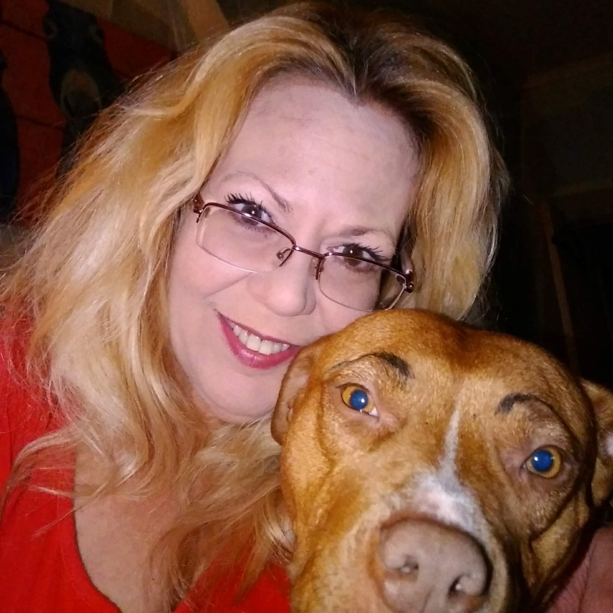 CajunBy's tweet photo. My girl
Check out my Etsy shop

https://t.co/jVH0nGQ4vy https://t.co/y12mvhvuML
