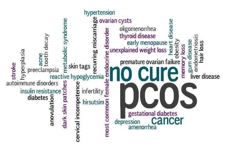 EricStreetman's tweet image. #PolycysticOvarianSyndromeAwarenessMonth #PCOS @PCOSAA #TeamTeal @whitneywaythore #NoBS @PCOSnutrition @pcosdiva @pcoschallenge @AwarenessPCOS @veritypcos @PCOSGurl