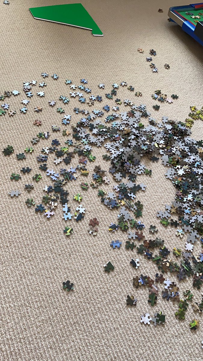 lifewfash's tweet photo. Doing a 2000 piece puzzle: any tips? https://t.co/6Qet3YameK