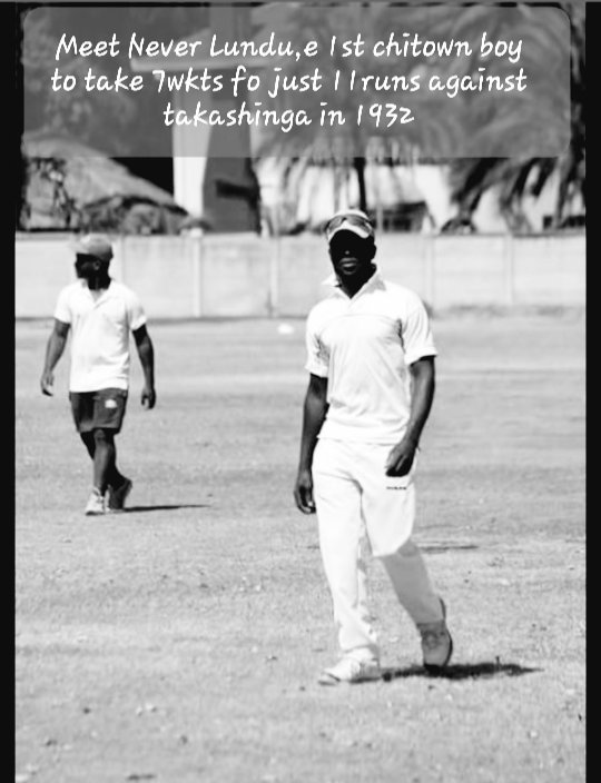 Bat doc PHD🇿🇼 (@neverlundu1) on Twitter photo 