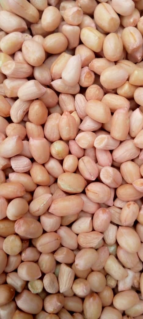 Groundnut from local markets in Kano, that u buy n supply to companies that produces peanuts