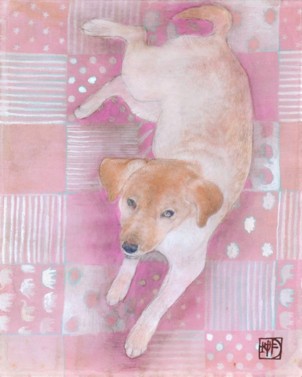 日本画 谷口月冲 Taniguchi Gecchu イエイヌ 273 2 Mm 年制作 麻布 岩絵具 墨 色鉛筆 金泥 今回は可愛らしい模様の麻に うちの犬を描きました アートワーク 絵画 動物画 アート 日本画 犬