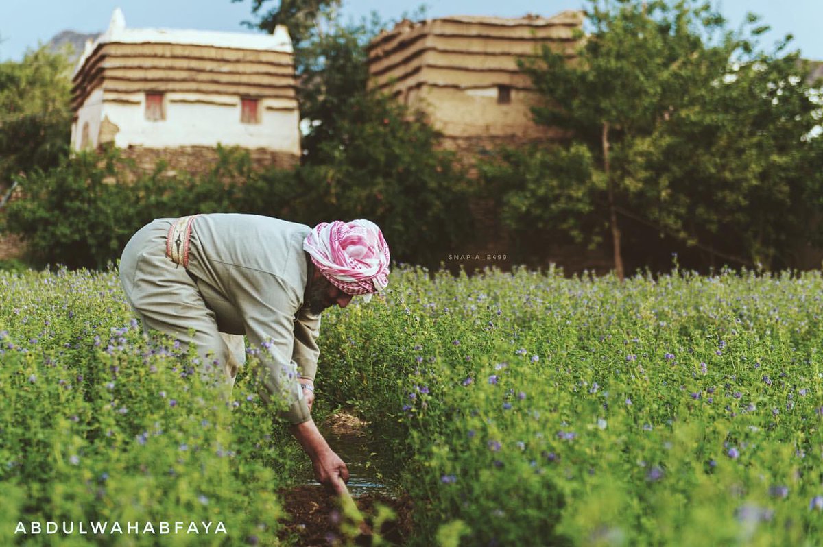 بورك لأمتي في بكورها .. #صباح_الخير 
.
#أبها
تصوير @a_b499