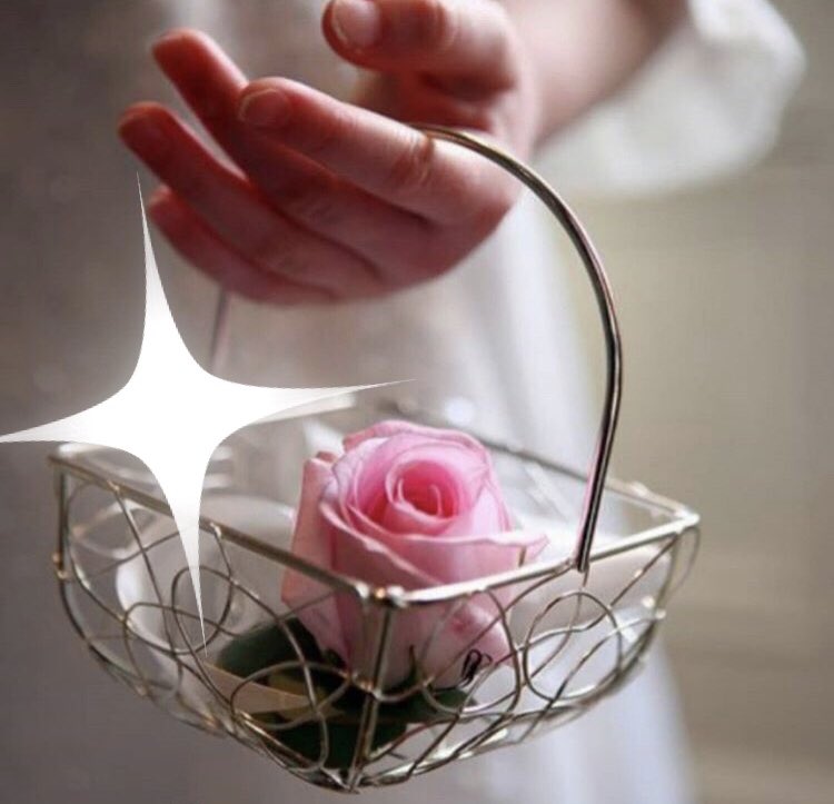 ae1__01's tweet photo. ✶✾

✿

نغيب ولگنّ وصل الدعاء أحنّ ✿

 #صباح_الخير https://t.co/FvUQgPhPov