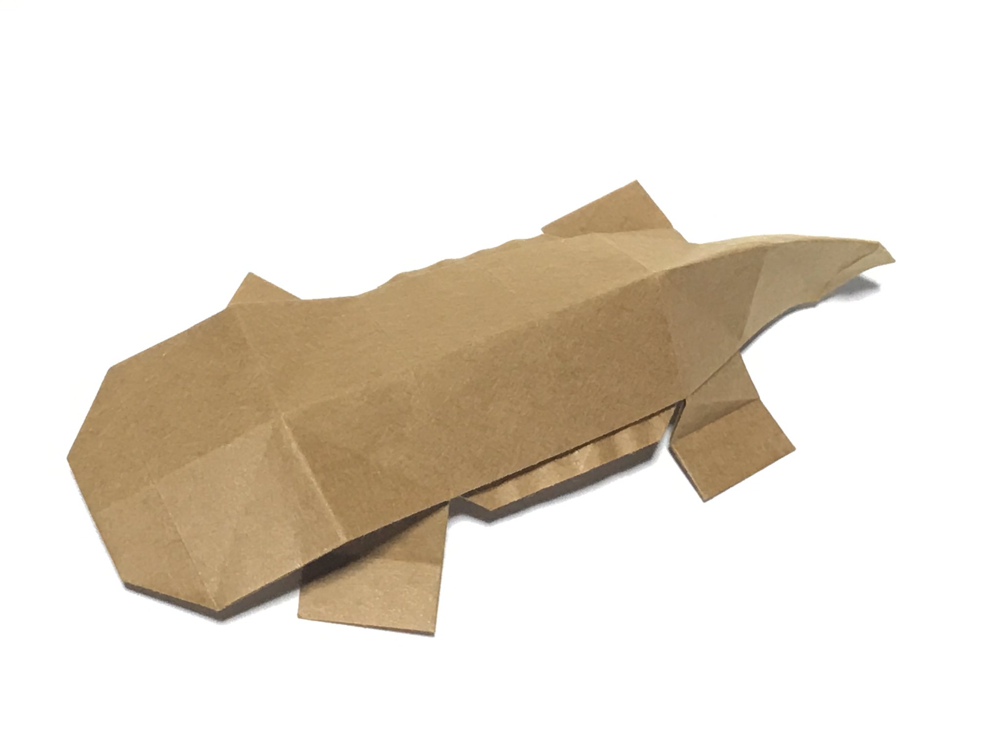 まつもとかずや 折り紙 折り紙作品 Origami オオサンショウウオ 一応 体側面の襞も折り出せる笑 T Co P0wmqetd5v Twitter