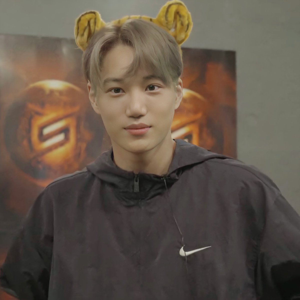 zkdlfan_'s tweet photo. 살다살다 이렇게 맹하게생긴 호랑이는 처음 https://t.co/gdVDIL3nYm