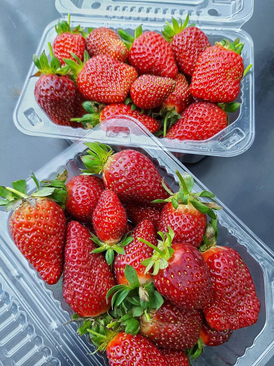 bree_ciiku's tweet image. Taking orders for tomorrow&apos;s deliveries until 2pm today. 

It costs zero bob to retweet my hustle😭🙏. My customer might be on your timeline.