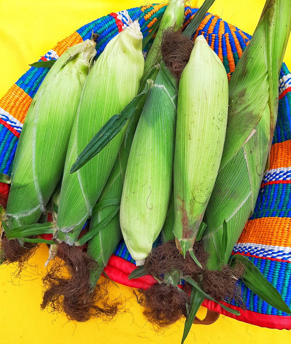 bree_ciiku's tweet image. Taking orders for tomorrow&apos;s deliveries until 2pm today. 

It costs zero bob to retweet my hustle😭🙏. My customer might be on your timeline.