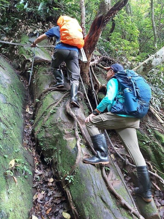 1/  #MtShiniu 石牛山  #Shimen 石門山. Although you can take  #Hsinchu Bus 5638 from 關西 & get off at 李樹下 to the trailhead, it's still not easy to get to this  #hike. There are some steep slopes to climb but the views are amazing. You can see Mt Jiali, Beicha & other peaks there.