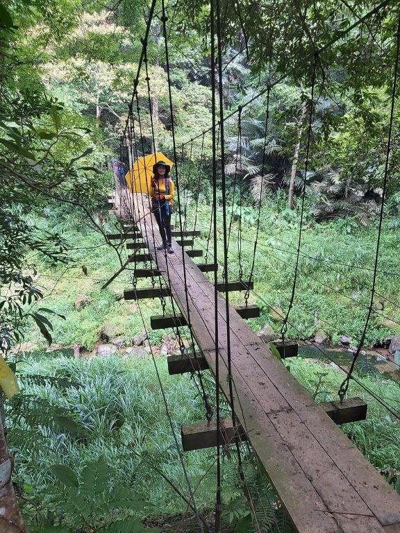 2/ First 2 photos were on the way to Mt Shiniu, steep but fun. After the summit, we continued to hike Mt Shimen. There were some cute suspension bridges & the lights in the woods were amazing. But it was really hot & humid.