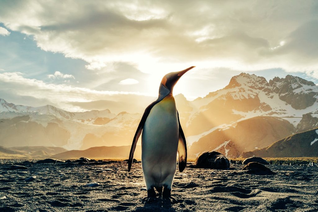 Jollymancan's tweet image. @ClouddBH asked for a face reveal so here you go