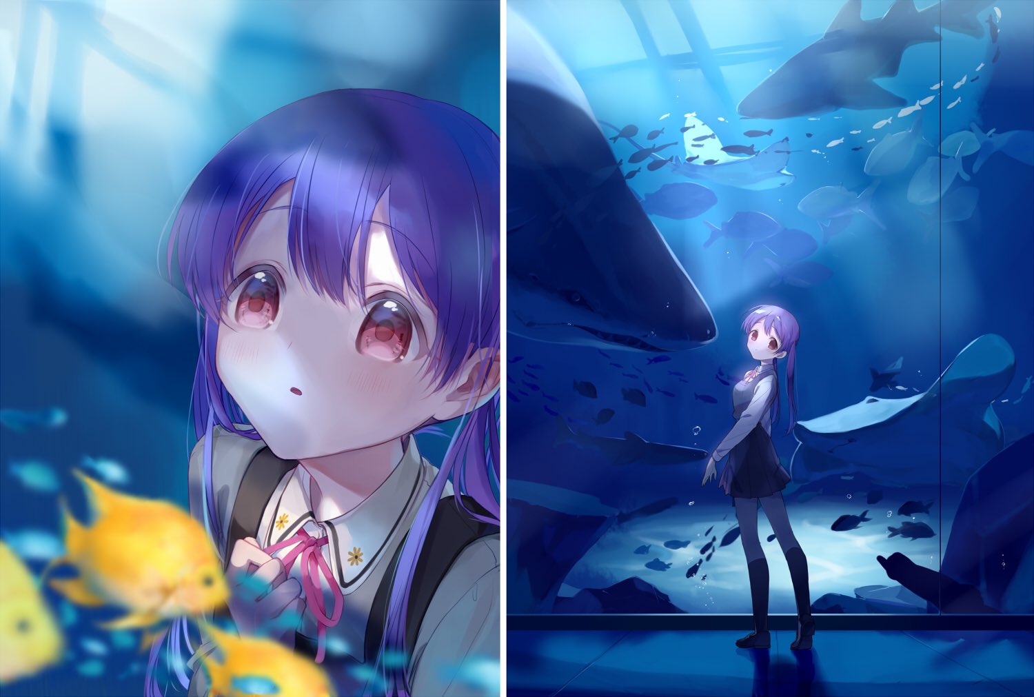 K 白瀬小雪と水族館デートがしたい 白瀬小雪 スクフェス K 白瀬小雪と水族館デートがしたい 白瀬小雪 スクフェス
