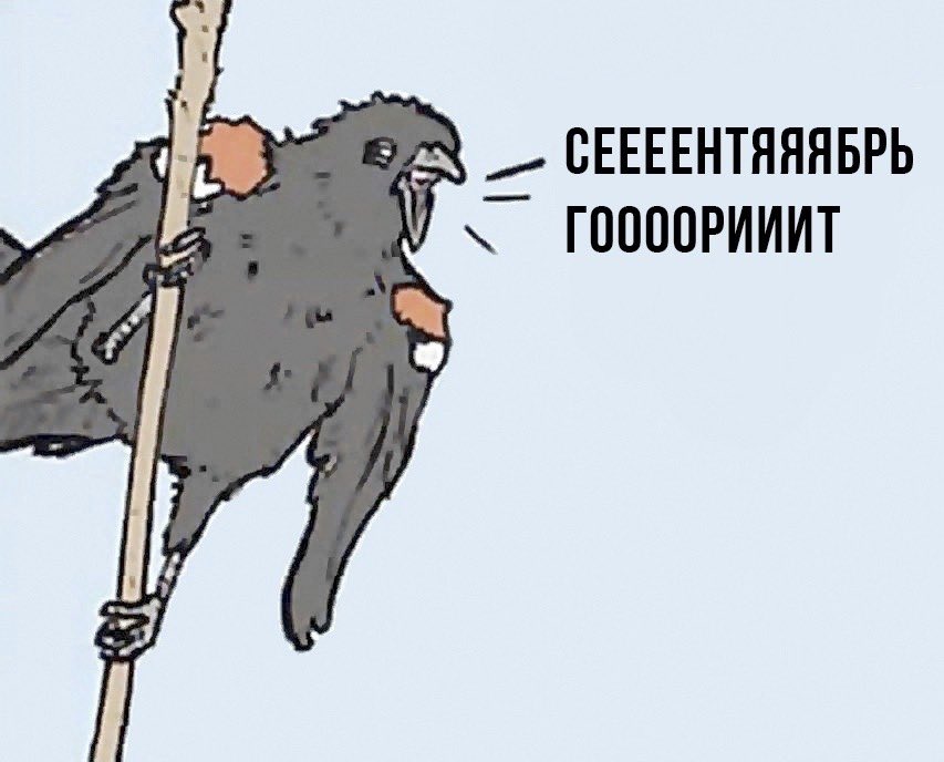 Лепра tweet media