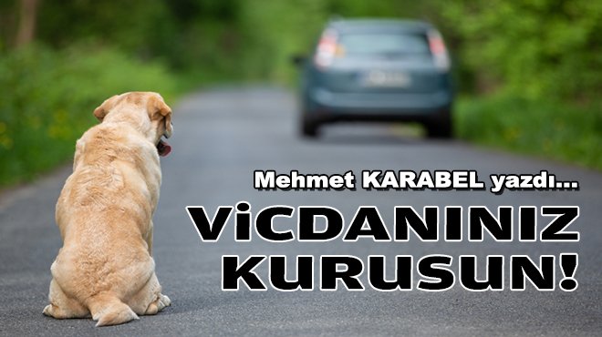 egede_sonsoz's tweet photo. Mehmet KARABEL yazdı... Vicdanınız kurusun! https://t.co/RFjW78EEug https://t.co/71TB6wQiQ6