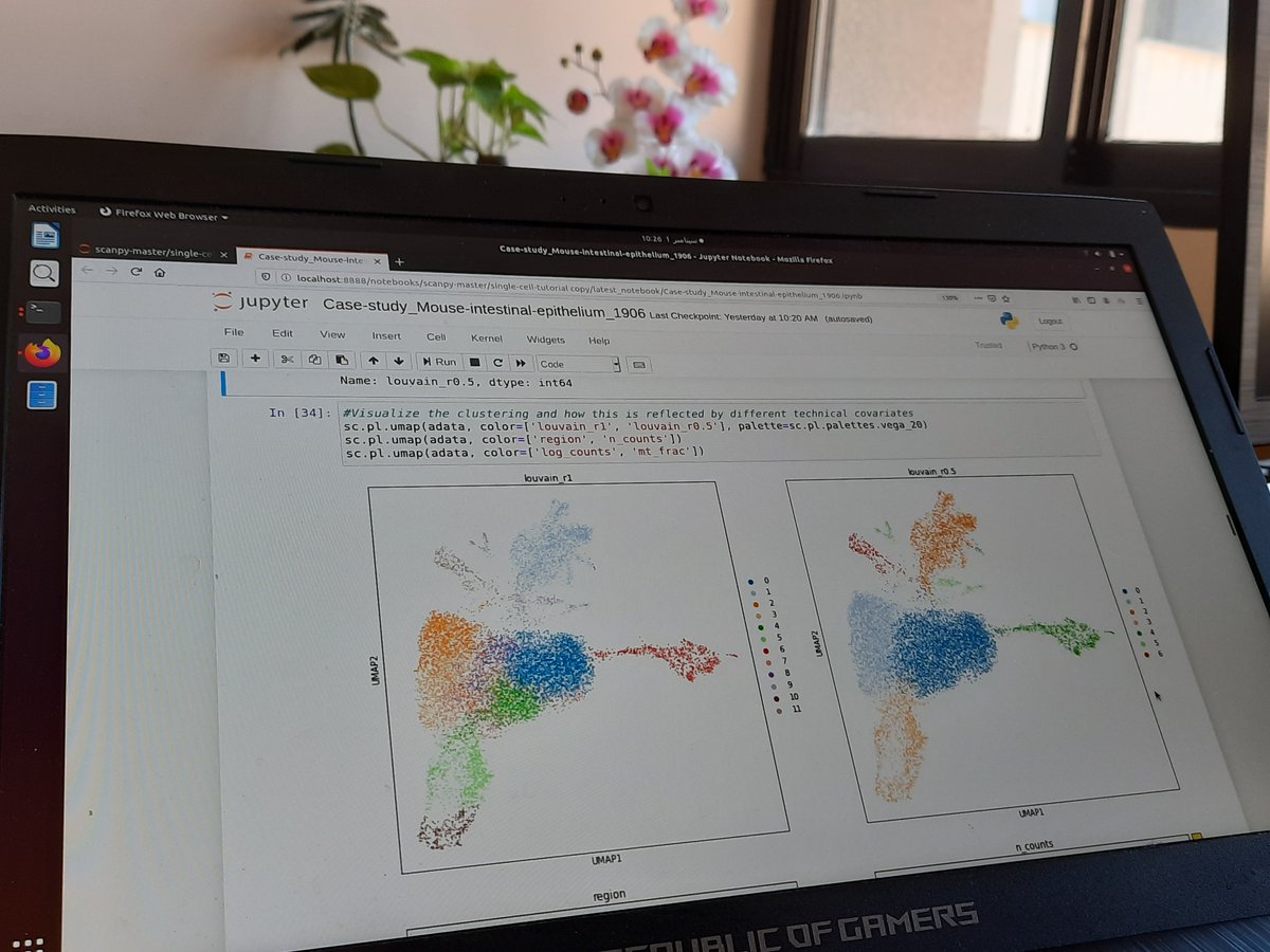 HosseinSafarpo4's tweet image. A workshop on #singlecell RNA-seq data analysis using #scanpy was held at Cellular and Molecular Research Center, Birjand University of Medical Sciences, from 22 to 27 August 2020.