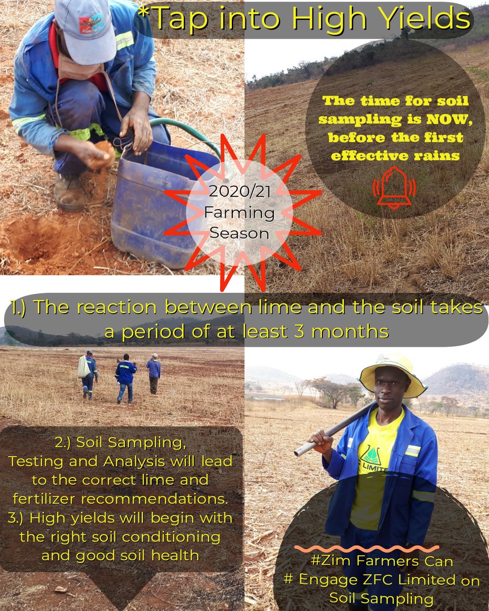 Are you always getting less than 1 tonne of maize per hectare?
Tap into high yields by knowing the status of your soil 
# Soil Sampling, Testing and Analysis 
# ZFC Limited 
<a href="/basera_john/">John Basera</a> @MoLAWRR_Zim @TendyPeppy <a href="/muitireclem/">Clemence Muitire</a> <a href="/ZivanayiG/">Zivanayi Gonzo</a>