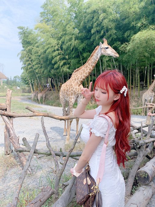 コスプレイヤー浅野菌子のTwitter画像70