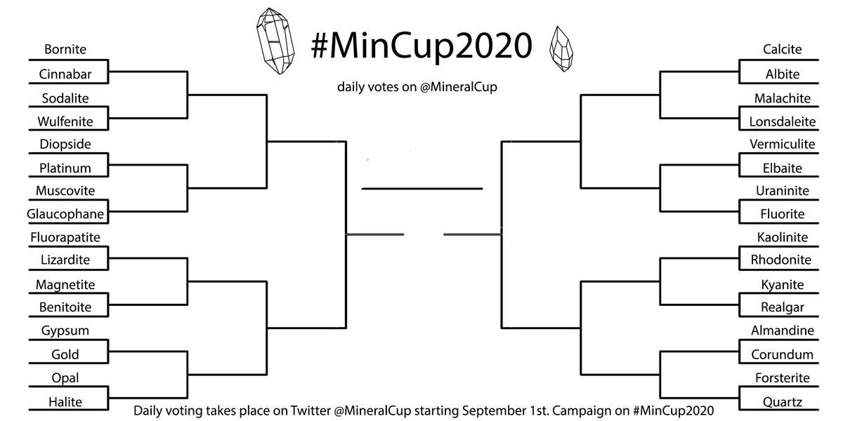 It's 2020, the year where anything can happen.The  #MinCup2020 bracket is sticking to the rules with all official minerals. Voting starts September 1st.Who will join legends  #Olivine (2017),  #Garnet (2018), &  #IceMin (2019) to be this year's  #champion?