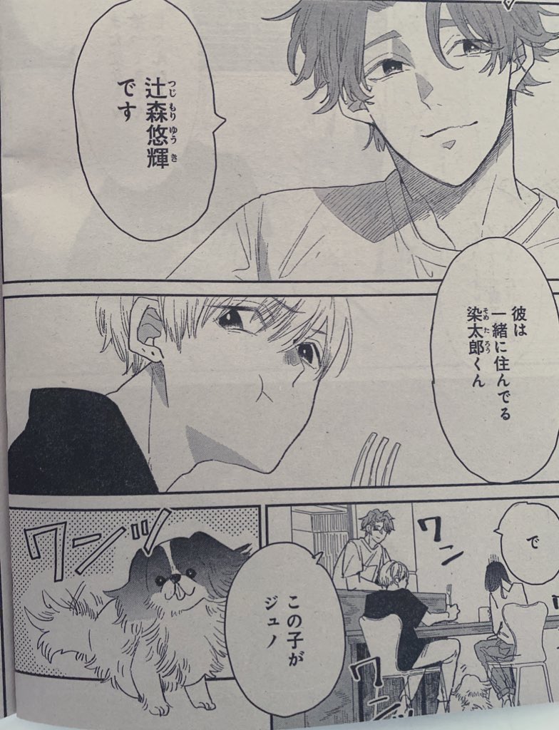 恋じゃないなら名前をつけて