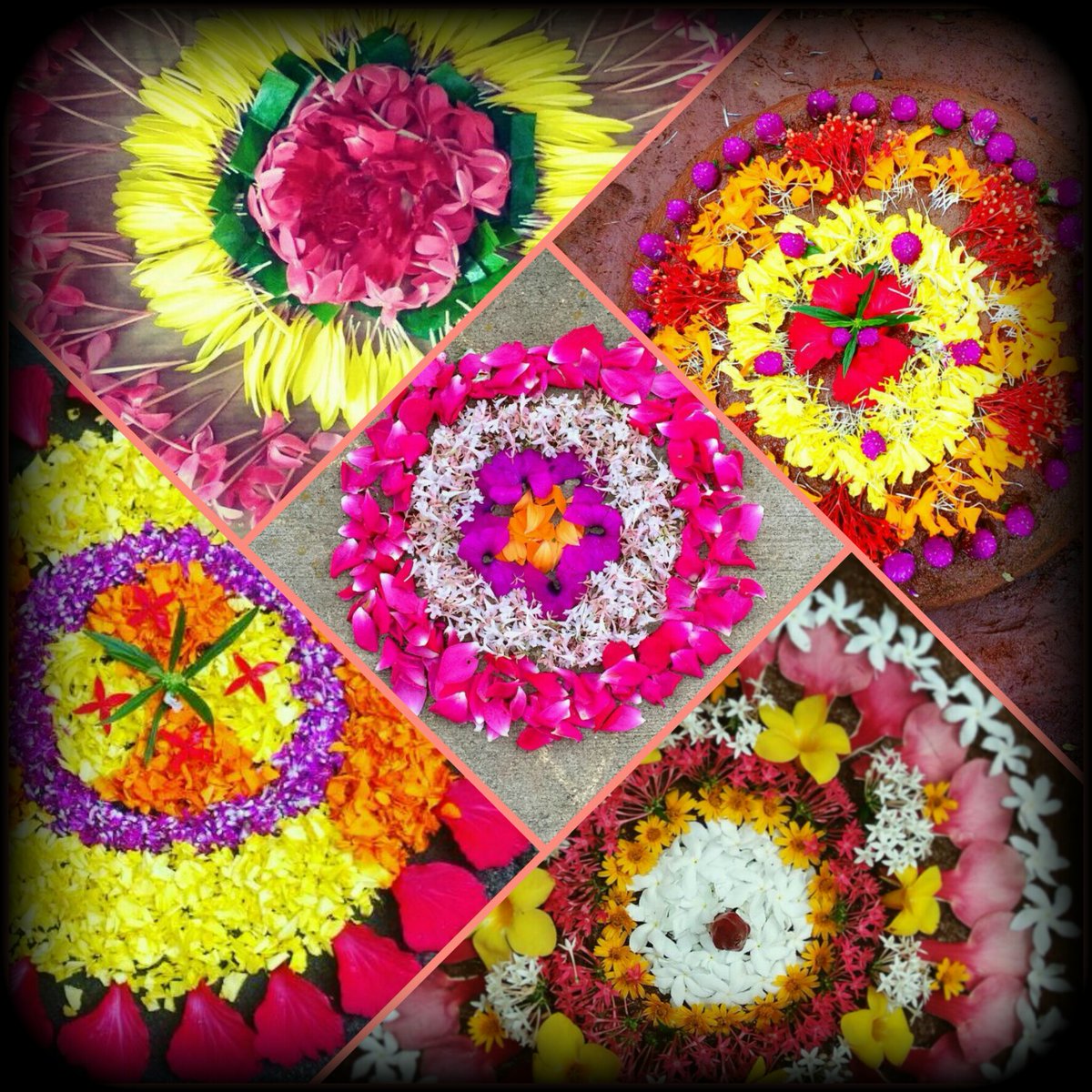 kalpana7867's tweet photo. @BergerPaintsInd Here is the Pictures of our ONAM Pookalam!
Happy Onam!
๐ ๐ ๐ ๐ธ ๐ ๐ผ ๐บ
#Onam #EasyCleanFreshOnam
#BergerPaints #EasyCleanFresh #PaintYourImagination
@BergerPaintsInd
๐บ ๐ผ ๐ ๐ธ ๐ท ๐ ๐น
@rjanardhan
@iwasbornhot
@Godisgreat001
@s4success2win
@prashantjm786 https://t.co/nsBeN66C7V