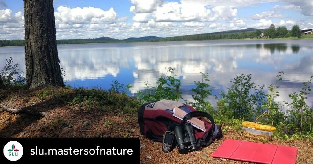 slustudyforests's tweet photo. Posted @withregram • @slu.mastersofnature

FREE TIME DURING FIELDWORK

During your fieldwork, wherever you are, you will have some spare time to invest in yourself and go hiking, fishing, picking berries or just chilling out while reading a bit.
In m… https://t.co/Izsr7IEbuD https://t.co/EYe7tCy0tX