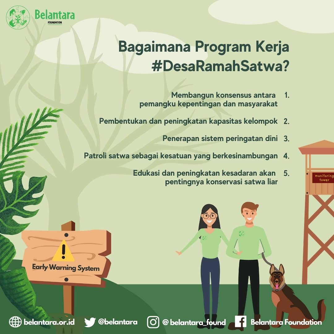 Keberadaan spesies kunci di negara kita dan fakta bahwa saat ini eksistensi mereka diambang kepunahan telah menyita banyak perhatian. Menanggapi hal ini, Belantara Foundation berupaya untuk ikut andil dan berkontribusi dalam melestarikan spesies langka endemik.