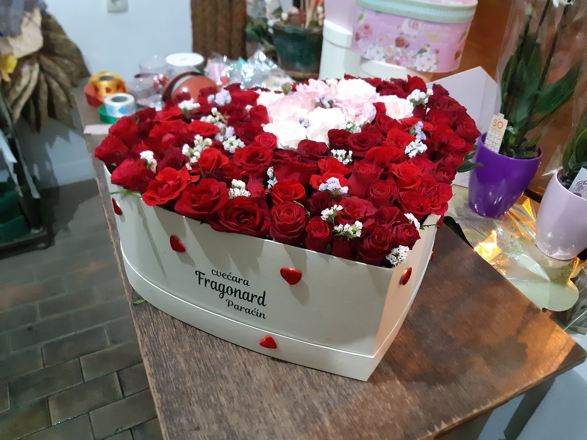 zare_entuzijast's tweet photo. #surprisegi4ftbox #xxlflowerbox #bigflowerbox #motherofpearlsbox #101roses #redroses #whitewineroses #babyroses #decorativeflowers #decoration #ladybugs #littlehearts #boxwithlogo #boxwithlogoprint 💝🎁🌹🌷🌿🌾🎀🐞💞 https://t.co/YXQk8eZSvo