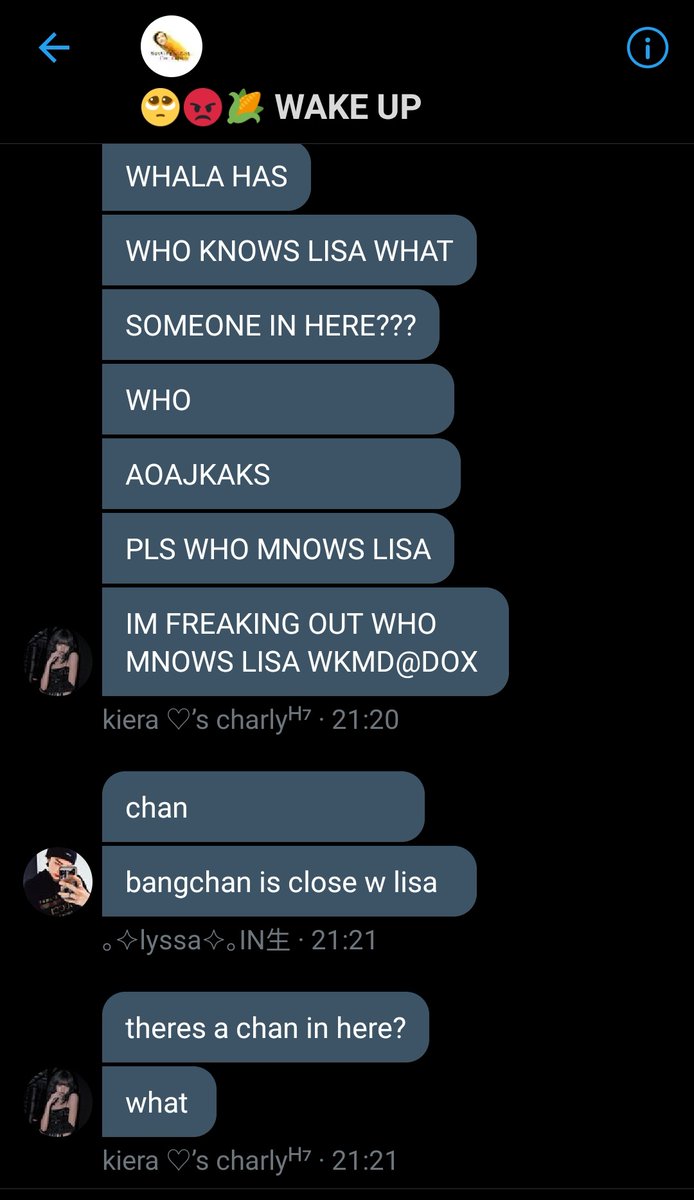 did you know that straykids' chan is in our gc ?