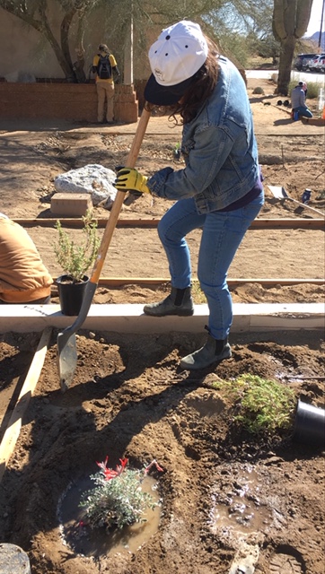 MojaveDesertLT's tweet photo. Did you know the best time to plant perennials, shrubs & trees is during the fall & early winter here in the desert? Perfect timing for our online Native Plant Sale, starting October 1st! See more here: https://t.co/WmqgRtoS4y
#californianativeplants #nativeplants #desertnative https://t.co/PC5PeMHJkg
