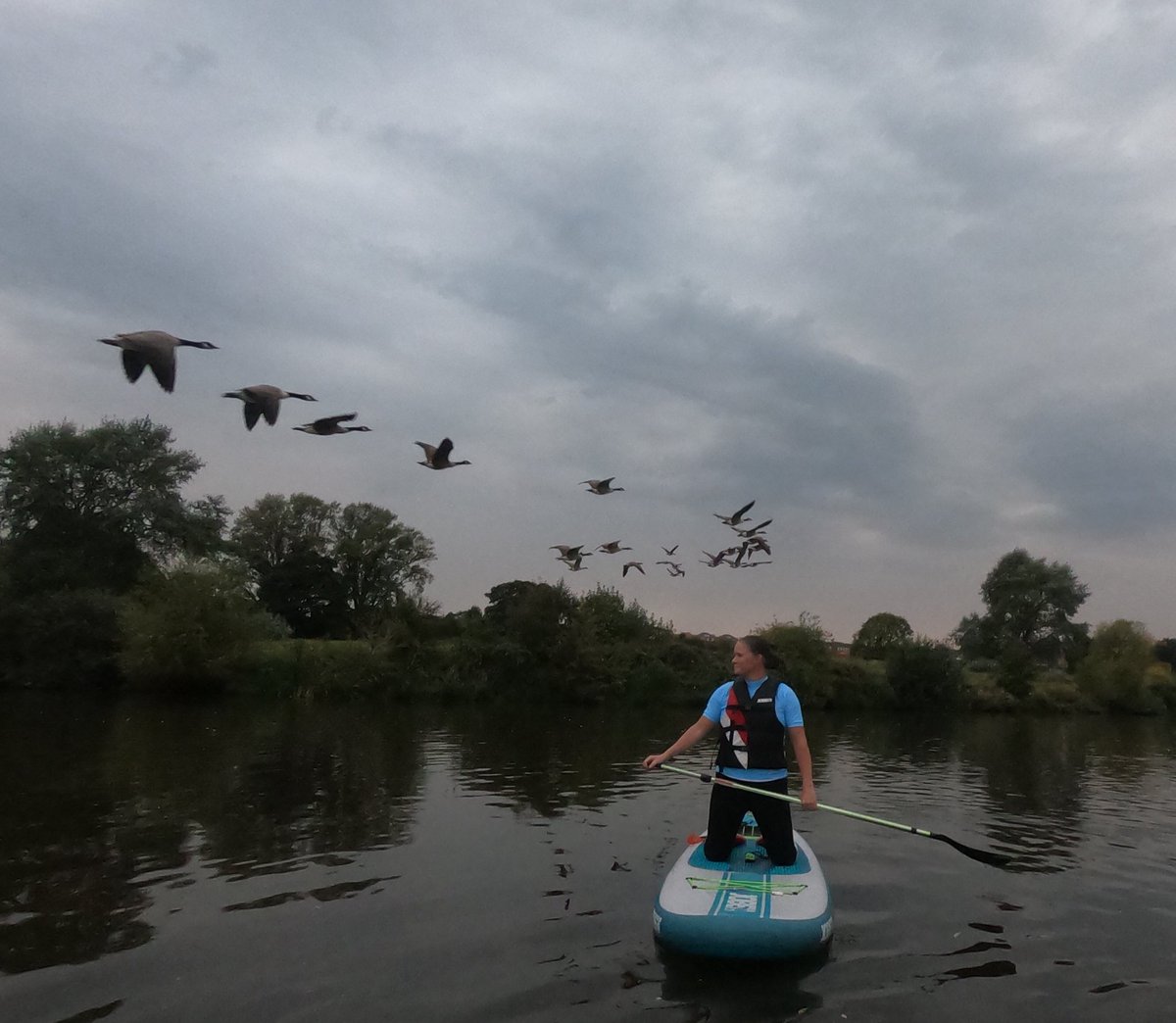 MidCheshireSUP's tweet photo. When the #Geese made us #Duck amazing #SUPTaster session on the #RiverWeaver and #Flashes the abundance of #Wildbirds #Privileged @CRTNorthWest @Winsfordtc @MyNorthwich @bri_cads #LifesForLiving https://t.co/wAKaBfn87g