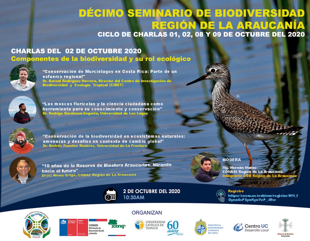 cedel_UC's tweet photo. 1-2-8 y 9 de octubre los amantes de la naturaleza podrán conocer más sobre la biodiversidad de #LaAraucanía en este seminario anual, donde organizaciones de toda la región se unen para compartir sus experiencias e investigaciones.
8/10 modera nuestro investigador @NicolasGalvezR https://t.co/zBuWTi8D3K