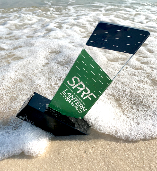 mightypenguin's tweet photo. At last night's @SouthernPRFed Lantern Awards, we won two awards for redesigning those same awards. Is it "rewarding" or "re-awarding?" Either way, it's a shame we're not on the beach celebrating... #covidcancelled #andthentheressally https://t.co/UdzK8MFoeb