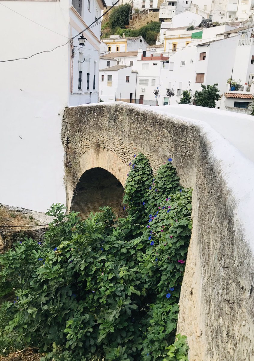 SetenilO's tweet photo. Hoy os mostramos una de las mejores joyas de nuestra arquitectura setenileña, el Puente de Triana, el puente de piedra. 
#PuenteTriana #DescubreSetenil 
📸 @aytodesetenil @setenil @TugasaHoteles @Sevilla_Turismo @andalucianet https://t.co/LNLryOgr38