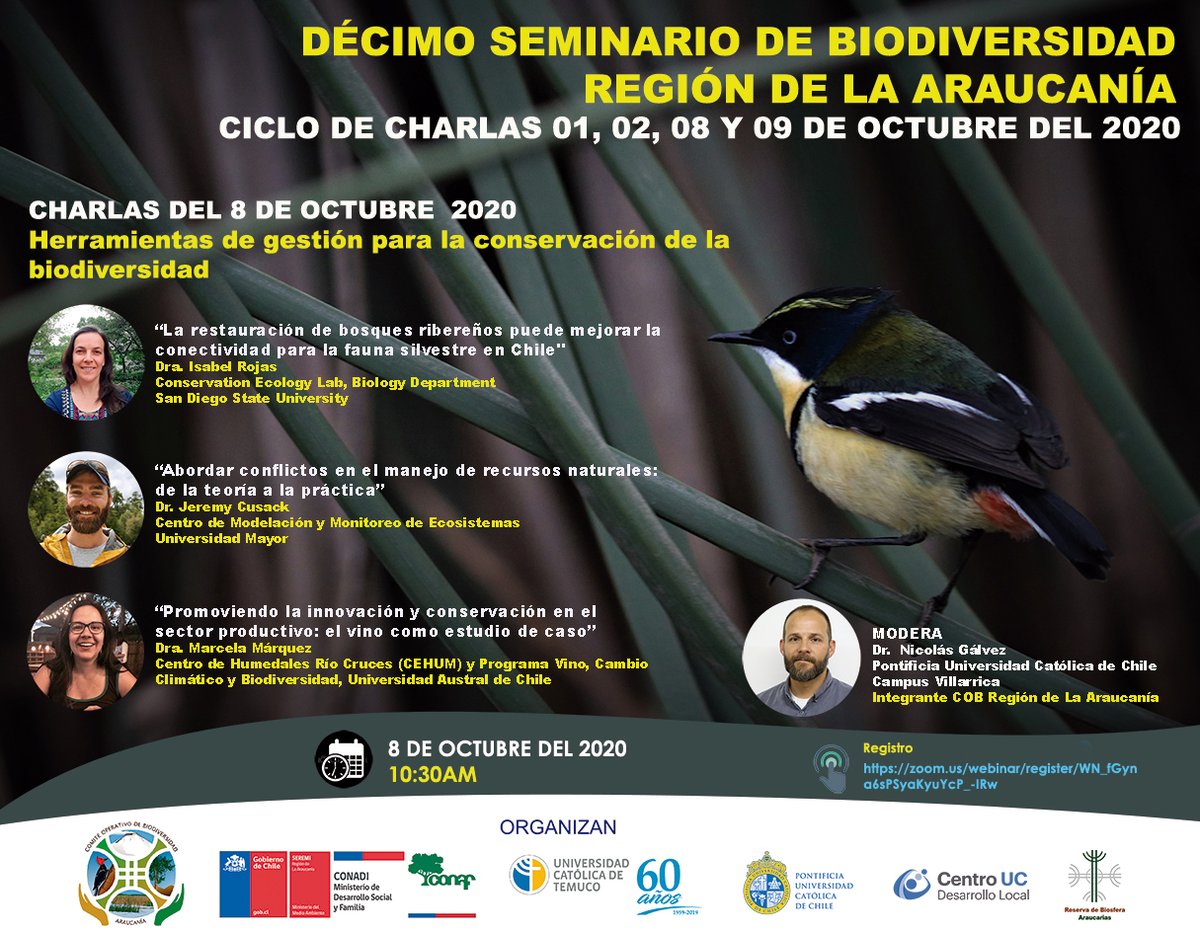 cedel_UC's tweet photo. 1-2-8 y 9 de octubre los amantes de la naturaleza podrán conocer más sobre la biodiversidad de #LaAraucanía en este seminario anual, donde organizaciones de toda la región se unen para compartir sus experiencias e investigaciones.
8/10 modera nuestro investigador @NicolasGalvezR https://t.co/zBuWTi8D3K