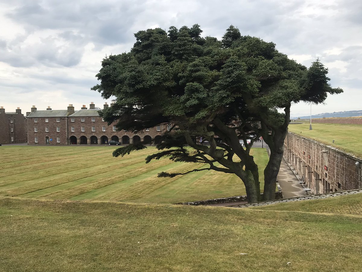 kilted_guide's tweet photo. #fortgeorge - artillery fortress designed to keep the Highlands in check after Culloden #STGAguides #bluebadgetouristguide #qualifiedtouristguide #professionaltourguide #scotlandtravelguide https://t.co/DNyvB7NidH