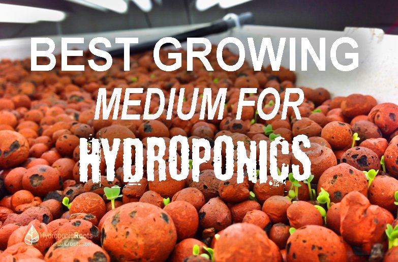 HydroponicRoots's tweet photo. 7 Best Growing Medium for Hydroponics. In this review I will present the 7 best growing medium for hydroponics! Whenever you are ready to choose a grow medium, you need to consider things like the plants that you will be growing... #growmedium https://t.co/ySUFAJF45m https://t.co/vJ03K6NNKH