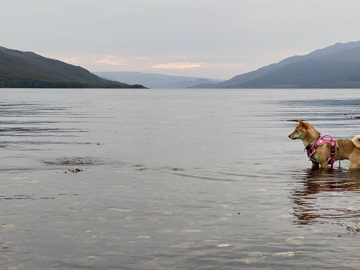 Rhonda Sturley tweet media