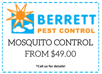 BestPestDallas's tweet photo. Are Mosquitoes Out of Control? We fog the bushes and other nesting sites of the mosquitoes. We use the In2Care Mosquito traps . Berrett Pest Control Serving Dallas Fort Worth TX  214-242-4800 First Visit $49 Visit:
https://t.co/HdI2IX5XqO #dfw #dallas #dfwpestcontrol https://t.co/e1Olh3jUkF
