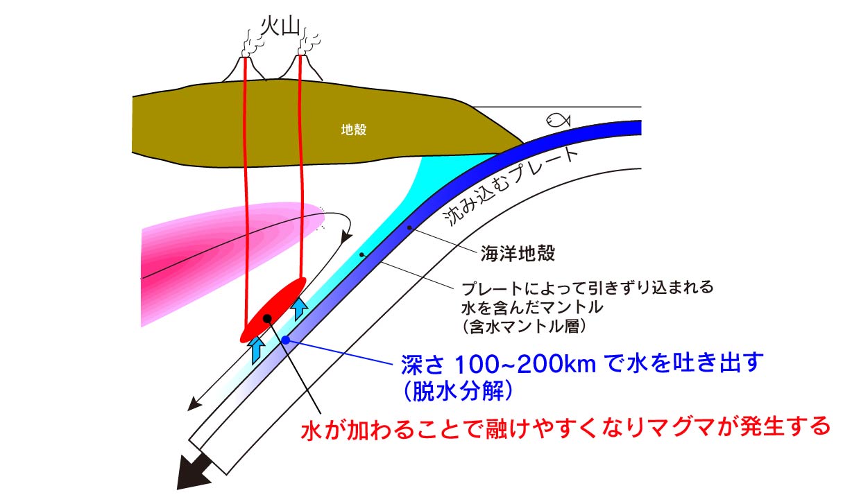 巽好幸 沈み込むプレートとその近傍が深さ100 0kmで水を吐き出し マントル物質の融点が下がってマグマが発生する でも水 の効果だけでマグマができるのなら 沈み込み帯のマグマは海嶺などに比べて温度が低いはず でもそんなことはない プレートで