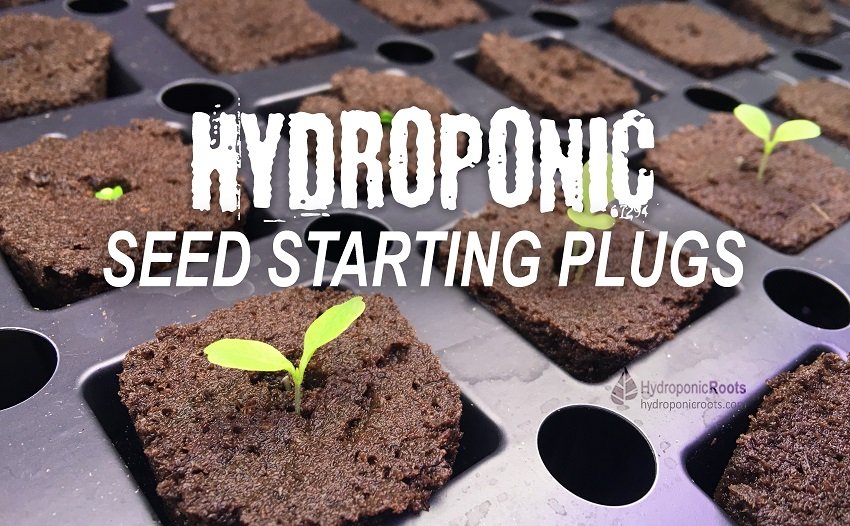 HydroponicRoots's tweet photo. 4 Easy Steps to Use Hydroponic Seed Starter Plugs. Discover how you can use hydroponic seed starter plugs in just 4 easy steps to grow your seeds into strong seedlings that will thrive. There are several methods used to germinate seeds … https://t.co/fQ533kFIV7 #seedlings https://t.co/mfcHQPKAfJ