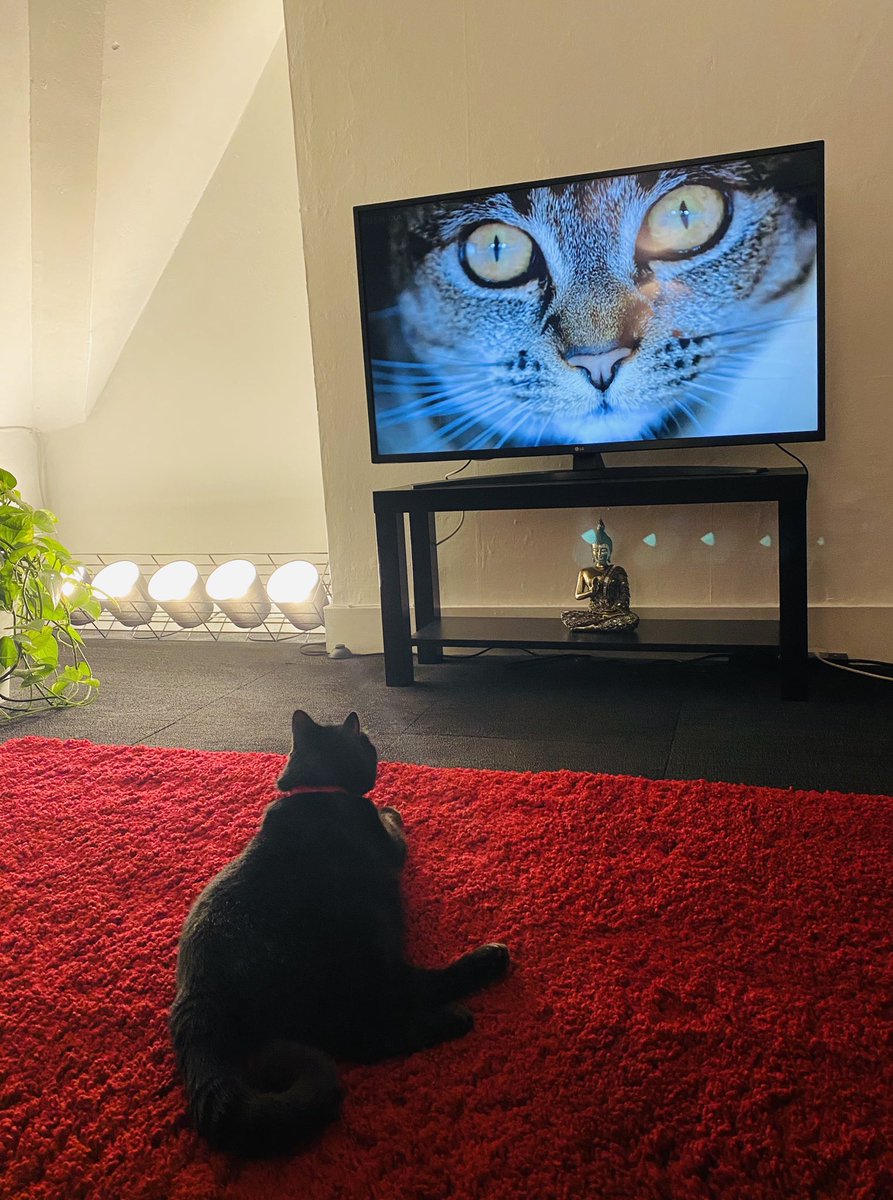 Aaron Clingham tweet media